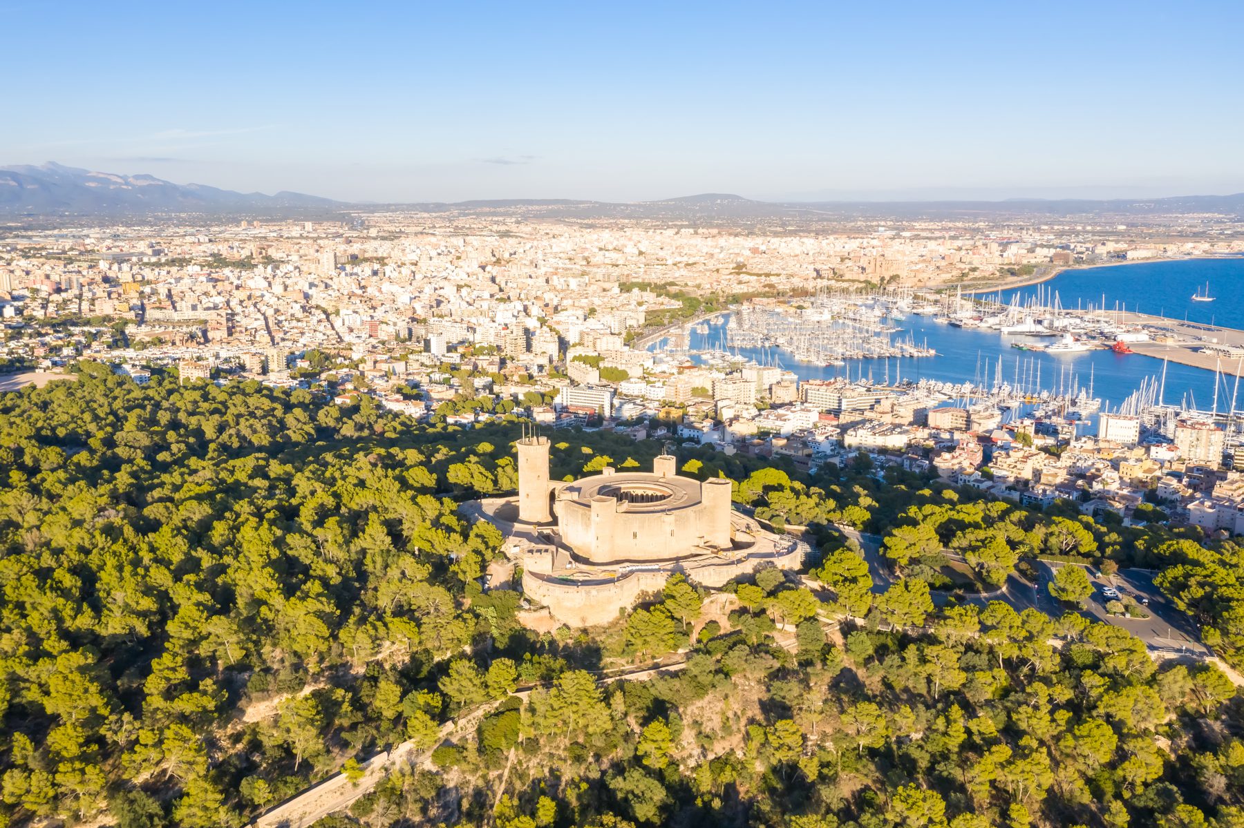 Luftaufnahme von Palma de Mallorca mit Hafen und Kathedrale